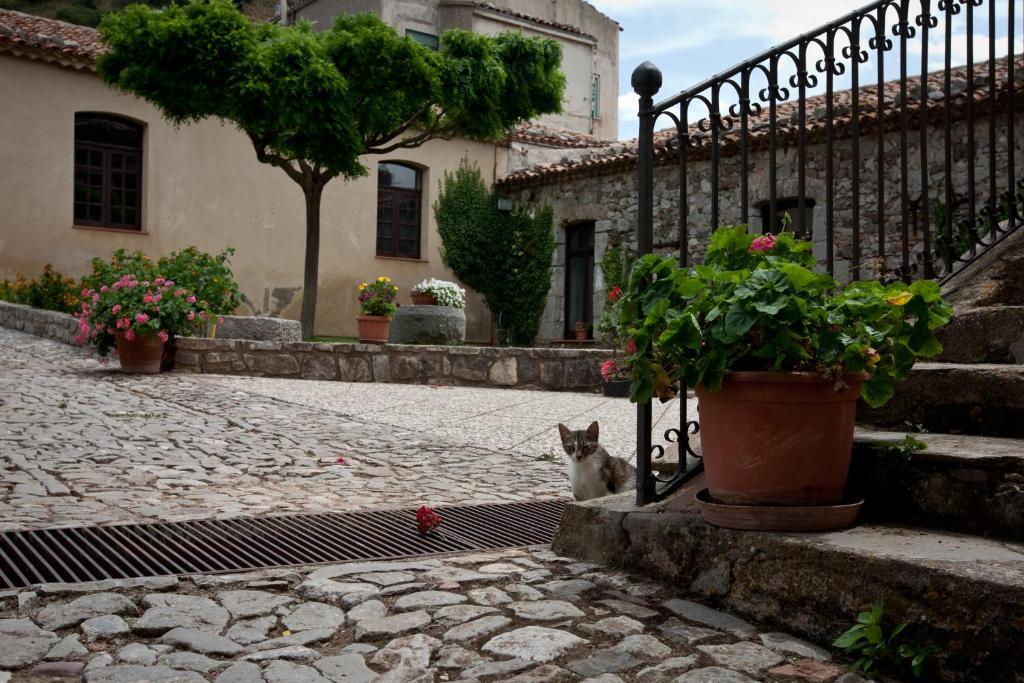 Il Vecchio Frantoio Villa Scillato  Exteriör bild
