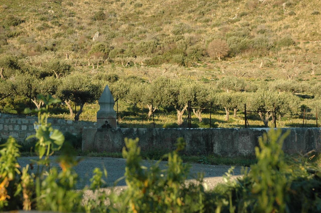 Il Vecchio Frantoio Villa Scillato  Exteriör bild